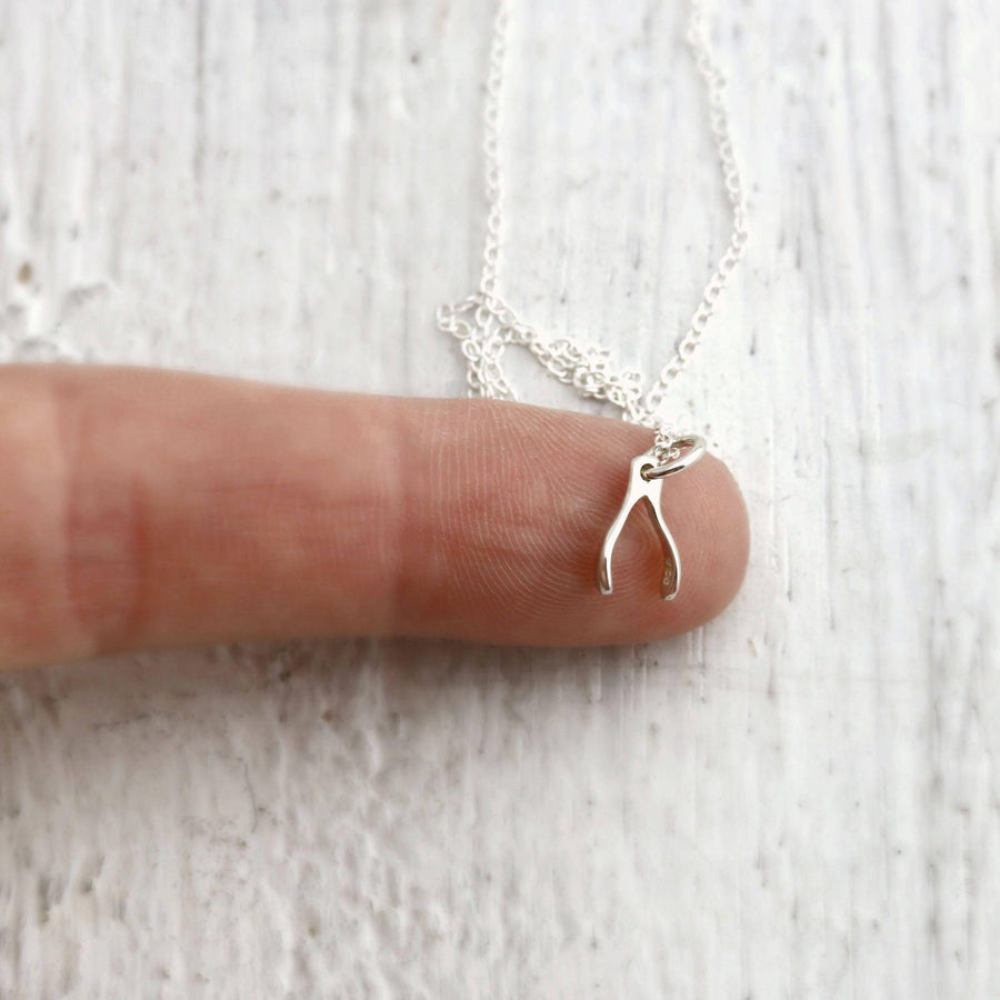 Petite Silver Wishbone Necklace, Good Luck Pendant